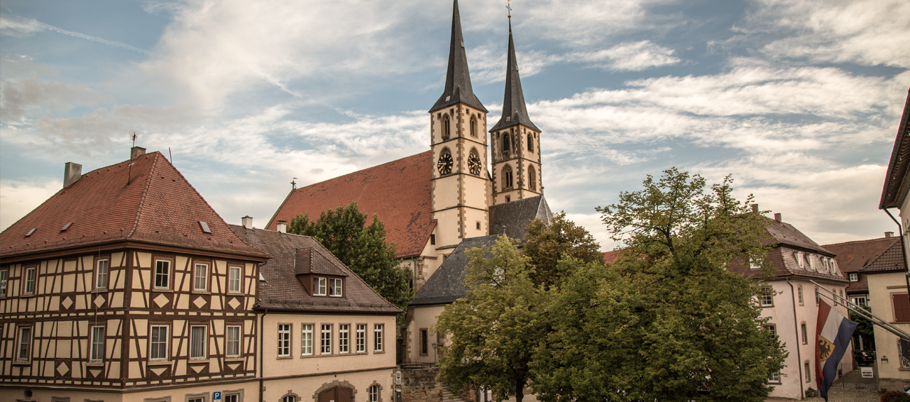 Blick über Bad Wimpfen
